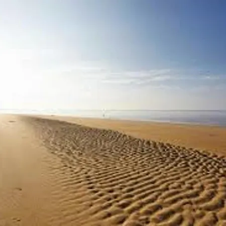 Holiday home Avec Terrasse, Et Proximite Plages - Fr-1-194-256